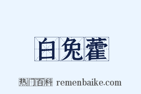 白兔藿是什么意思的图片